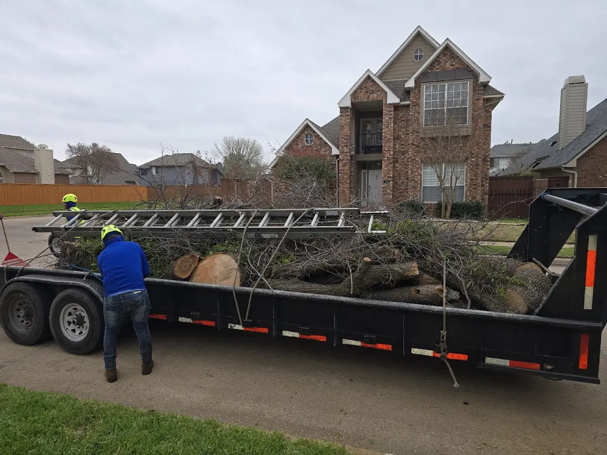 Expert Crown Reduction with proper safety equipment in Crestwood